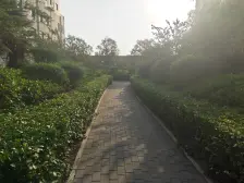 湖光新苑 3室2厅 南