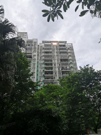绿城印象实景图