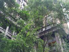 长城半岛城邦三期4室2厅东南