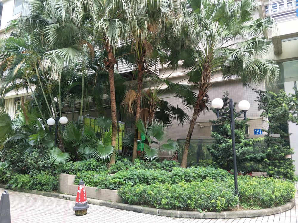 小区相关图
