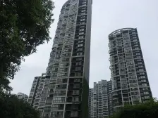 水榭花都 南北通透,采光好 装修好,环镜优美 近地铁 视野好,诚心出售