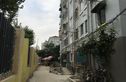 南竹园实景图
