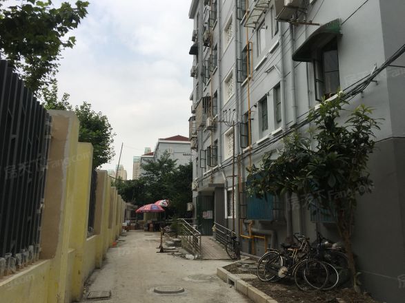 南竹园实景图