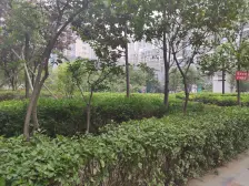 精装修 楼下地铁 全明户型 独立厨卫 民水民电