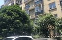 虹梅新苑北区实景图
