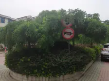 2房+满五 +中间楼层 +5号线+位置好+天然氧吧