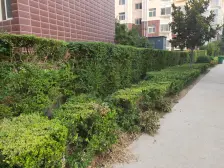 精装修一楼带院。交通便利。商圈成熟。业主诚心出售。