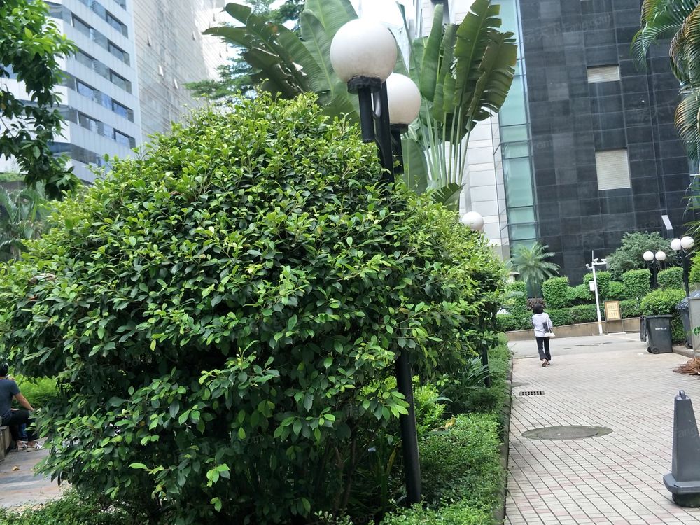 小区相关图