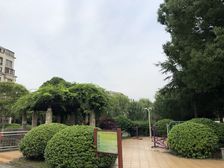 顶复 采光通风好 户型正气 空中花园 满五