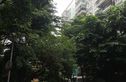 绿城印象实景图