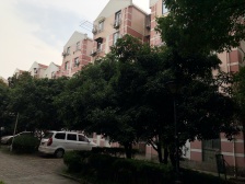 御桥商圈,建平实.验.中.学,11号.18号双轨交通