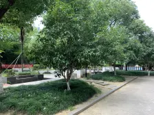 映象精装两居室 安静位置 户型正气 全天采光