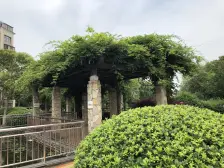 顶复 采光通风好 户型正气 空中花园 满五