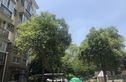 虹梅新苑北区实景图