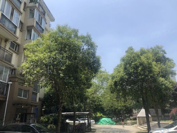 虹梅新苑北区实景图