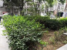 安贞里一区南向两居,户型方正无浪费面积