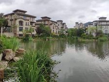 南菁高中旁 纯毛坯 楼层居高 视野开阔小区环境好