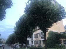 沁富佳苑3室2厅南