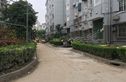 南竹园实景图