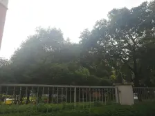 业主诚意出售,位置好,采光 好 ,视野开阔!