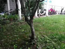 上影广场 2室1厅 南