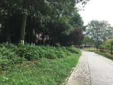 帕丽湾 3室2厅 东南