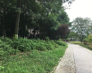 帕丽湾3室2厅西北