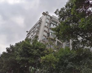 双楠所有阳光1室0厅北