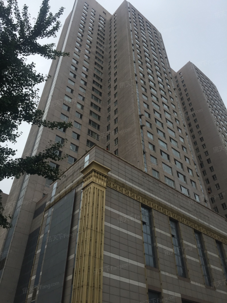 实景图