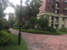 双阳台,看房方便,首付可谈,出门就是高架