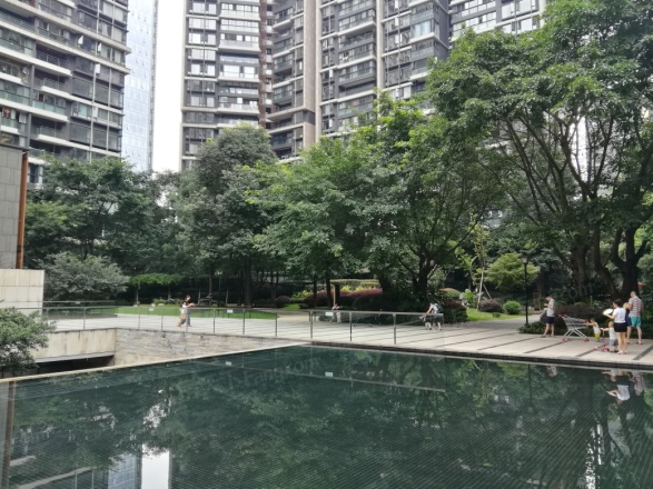 仁和春天国际花园实景图