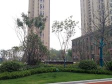 证过2年 带储藏室 南北通户型 诚心出售