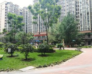神仙树缤纷2室1厅东南