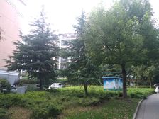 西郊·2008年次新小区一梯两户环境优美带地下停车库