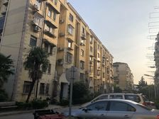 金杨新村五街坊1室1厅南