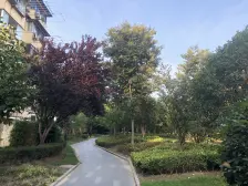 金杨·金杨五街坊·2室·1厅