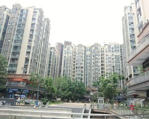 神仙树缤纷1室1厅西北