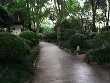 徐家汇地铁站+汇师门对门+免接送+满五+高区三房采光好