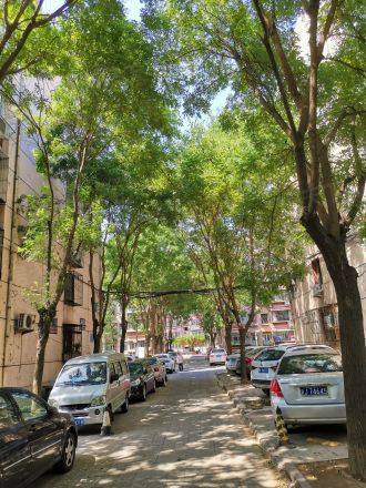 建欣苑四里实景图