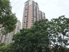 出售瑞景国际洋房,毛坯房。看房方便。