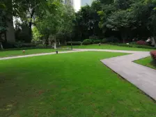 融汇半岛爱窝 1室1厅 东南