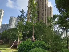 老城区次新小区大4房南北通透双阳台