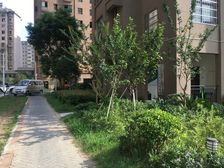 近红谷万达两房朝南户型方正出行便利配套设施齐全
