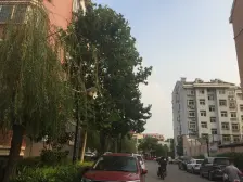 金田苑60平一室一厅户型,房主诚意出售