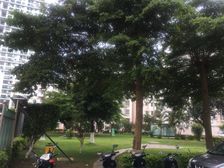 新大润发商圈强远世纪度假村正规一房一厅