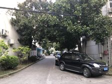 新出,金杨商品房,非顶楼,户型好位置佳,采光通透无遮挡