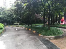 品质小区,环境优美,精装修,诚意出售