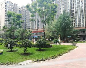 神仙树缤纷1室1厅南