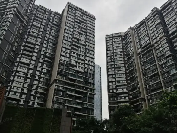 仁和春天国际花园实景图