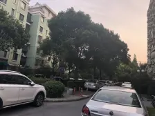 金杨·昕泰苑·4室·2厅